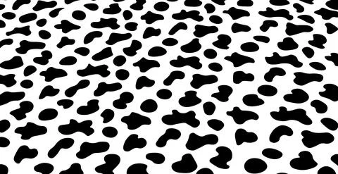 Black and white pattern texture cow skin spots - Vector Stock Illustration