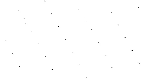 Black and white pattern transition animation for video editing concept Stock Footage 278458837