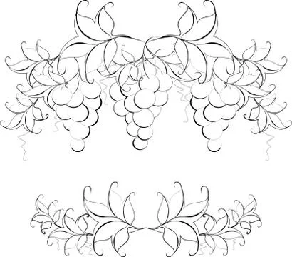 Black and white pattern of vine grapes for page decoration. EPS10 vector Stock Illustration