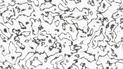 Black and white patterns move in waves in animated background. Abstraction of li Stock Footage 248271603