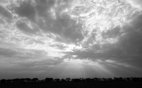 Black and white Stock Photos