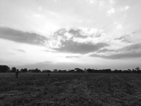 Black and white Stock Photos