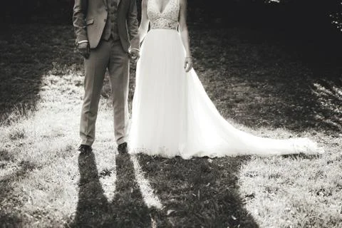 Black and white photo of wedding couple standing on grass in park. Back-light Stock Photos
