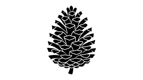 Black and White Pine Cone Illustration - Graphic Minimalist Silhouette Stockillustratie