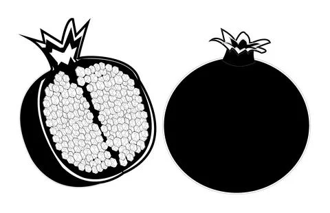Black and white Pomegranate vector art design Stock Illustration