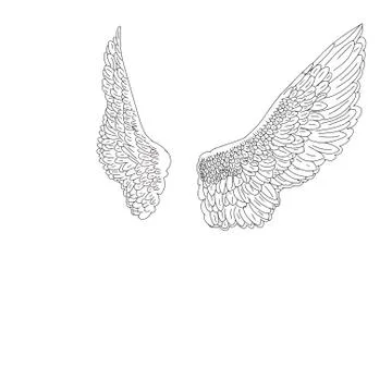 Black and white portrait of a pair of wings Stock Illustration