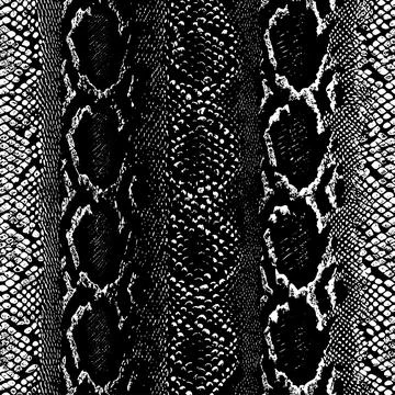 Black and White Python Scales Seamless Pattern Stock Illustration