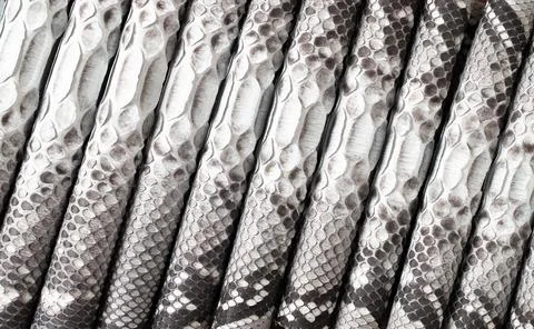 Black and white python skin as background. snake skin texture with natural .. 스톡 사진
