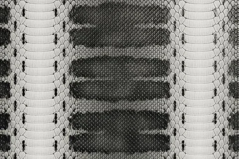 Black and White Python Snakeskin Texture Seamless Pattern Background Stock Illustration
