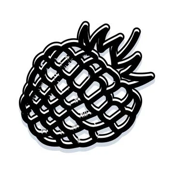 Black and white raspberry fruit vector illustration Stock Illustration