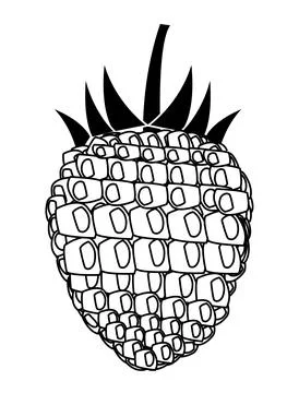 Black and white Raspberry vector design art Stock Illustration