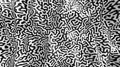 Black and white reaction-diffusion pattern 3D animation Stock-Footage 133762254
