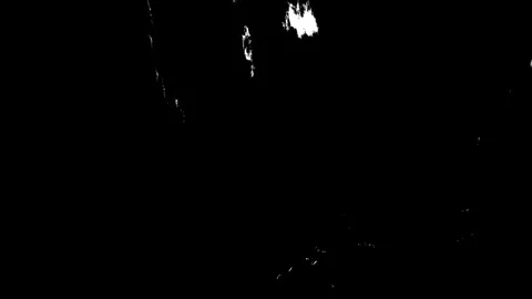 Black And White Realistic Flickering. Stock Footage 107392870