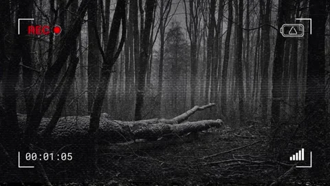 Black and White Recording Pop Culture horror cinematography scene Stock Footage 284639809