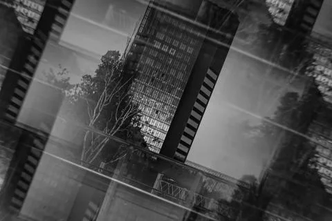 Black and white reflection of office building and trees Stock Photos