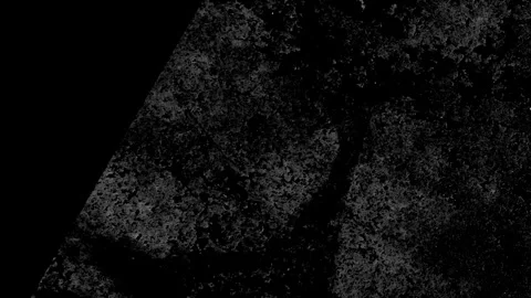 Black and white screen mode grunge overlay  looped animation  effect 4K Stock Footage 261522014