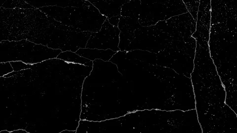 Black and white screen mode grunge overlay dirt scratches looped animation Stock Footage 261526769