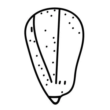 Black and white sea shell sketch in clean linear style. Stock Illustration