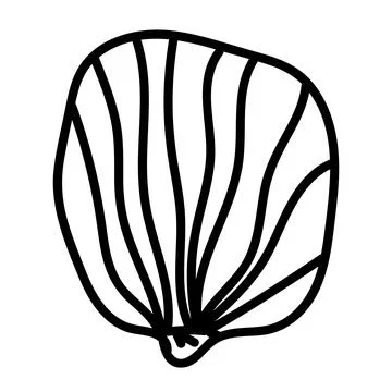 Black and white sea shell sketch in clean linear style. Stock Illustration