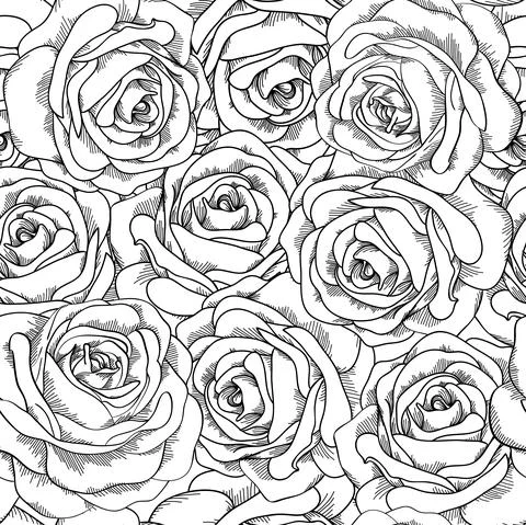 Black and white seamless background. Roses hand-drawn. Stock Illustration