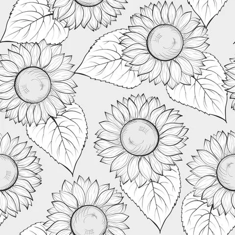 Black and white seamless background with sunflowers. Stock Illustration