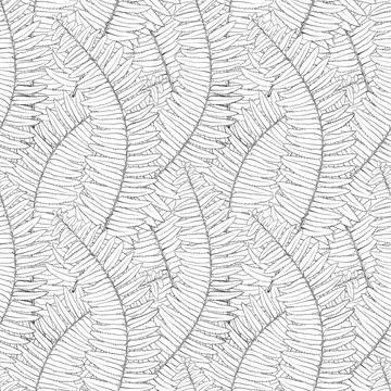 Black and white seamless background with fern leaves Stock Illustration