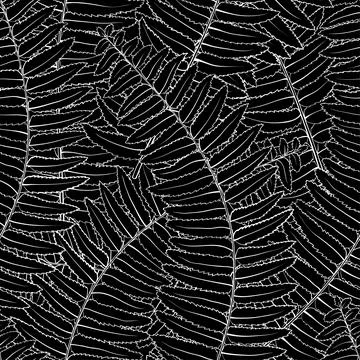 Black and white seamless background with fern leaves イラスト素材