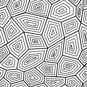 Black and white seamless pattern the texture of turtle shell, vector Stock Illustration