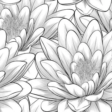 Black and white seamless pattern with lotus flowers. Stock Illustration