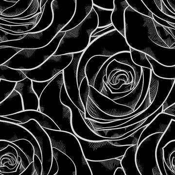 Black and white seamless pattern in roses with contours. Stock Illustration