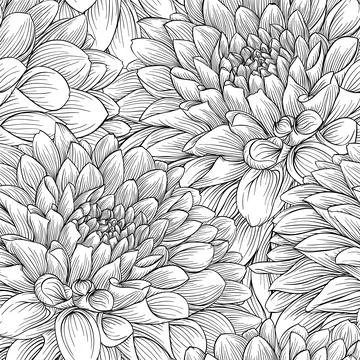 Black and white seamless pattern dahlia. background for design greeting card Stock Illustration