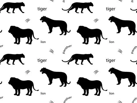 Black and white seamless pattern of wild African feline animals, tiger,lion.. 스톡 일러스트