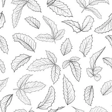 Black and white seamless pattern holly, ilex branch with leaves on white ba.. Stock Illustration