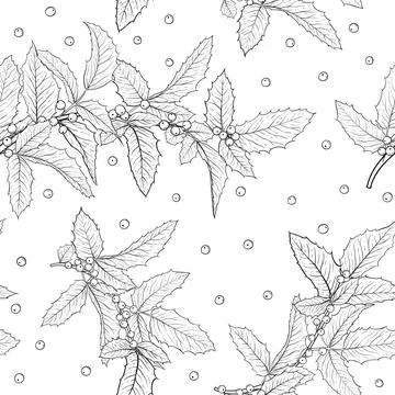 Black and white seamless pattern holly, ilex branch with leaves on white ba.. Stock Illustration