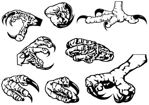 Black and White Set of Eagle Claws Stock Illustration