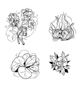Black and white set of flower greenery leaves line art isolated. Spring floral Stock Illustration
