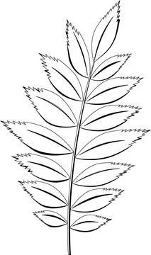 Black and white sheet Stock Illustration