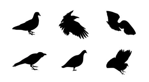 93 Cool Crow Tattoo Designs for Men [2024 Inspiration Guide]