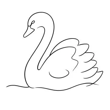 Black and white single line of a graceful swan swimming, isolated on a whit.. Stock Illustration