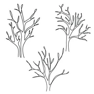 Black and white sketch of three leafless trees Stock Illustration