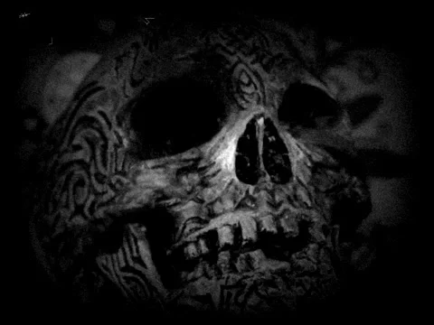 Black and white skull Stock Footage 67223886