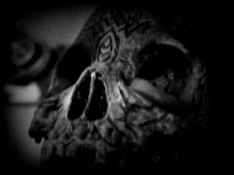 Black and white skull Stock Footage 67223894