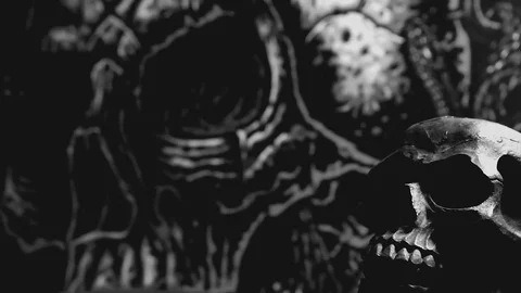 Black and White Skull Stock Footage 79512182