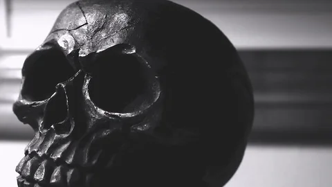 Black and White Skull Stock Footage 79512184