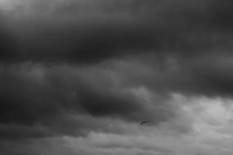 Black and white sky. Dramatic clouds. Horror. Background, banner. Horror, exp Stock Photos