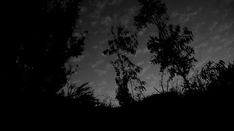 Black and white sky Stock Footage 78839399