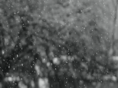 Black and white snowfall Stock Footage 83081400
