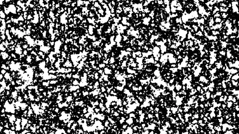 Black and white speckled pattern moving under light during day time 스톡 동영상 333374113