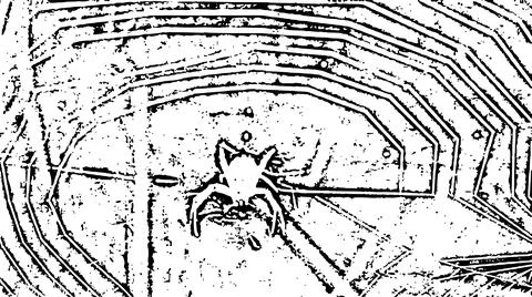 Black and White Spider on Web Graphic Texture Stock Illustration