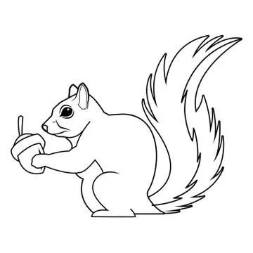 Black and white squirrel design Stock Illustration